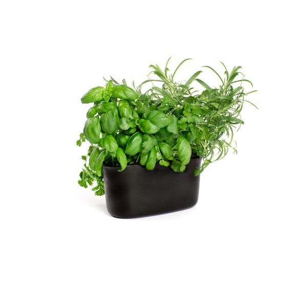 Herb Pots - Handmade in Sweden